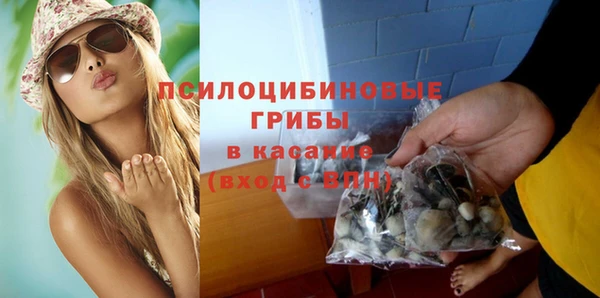 spice Богданович