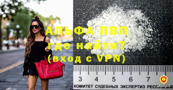 spice Богданович