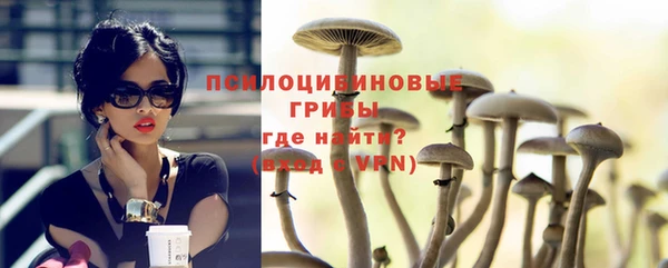 mdpv Богородицк