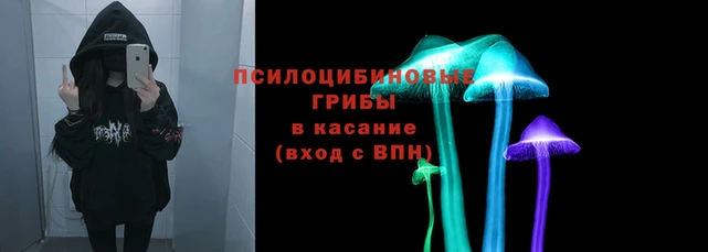 mdpv Богородицк