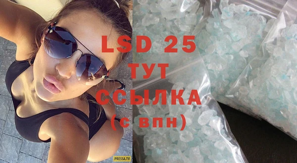 spice Богданович
