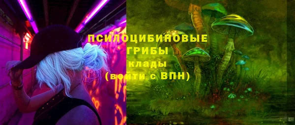 spice Богданович
