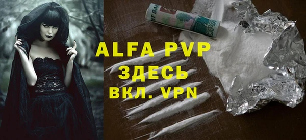 spice Богданович