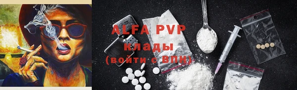 mdpv Богородицк