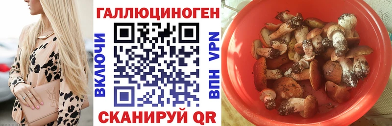 ссылка на мегу онион  Химки  Псилоцибиновые грибы MAGIC MUSHROOMS 