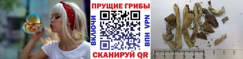Галлюциногенные грибы MAGIC MUSHROOMS Химки
